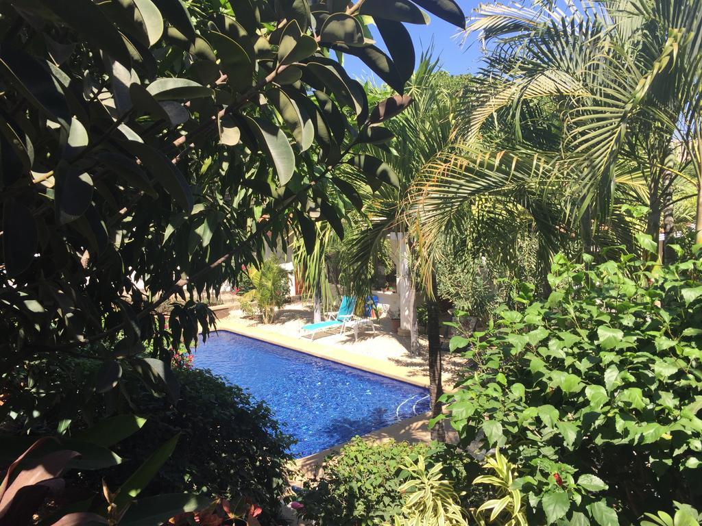 Hotel Flores (Adults Only) Tamarindo Exterior foto