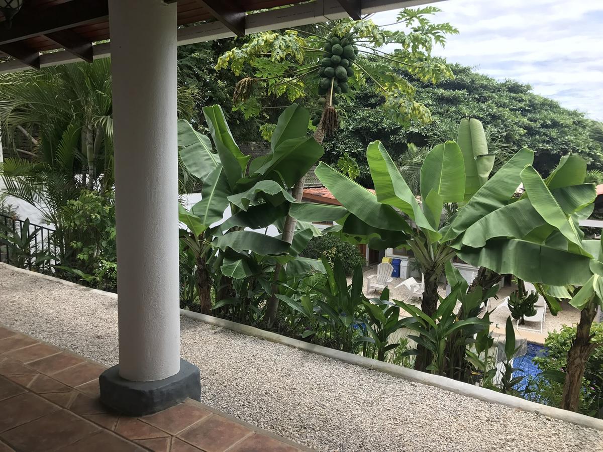 Hotel Flores (Adults Only) Tamarindo Exterior foto